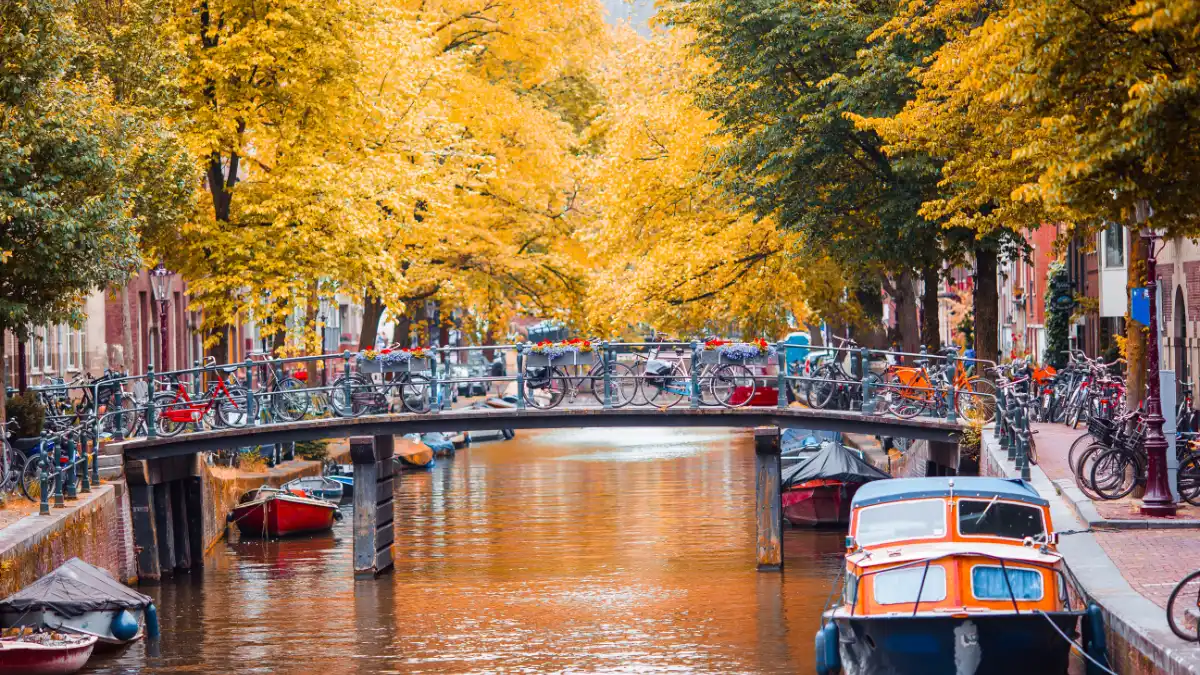 Study in Netherlands