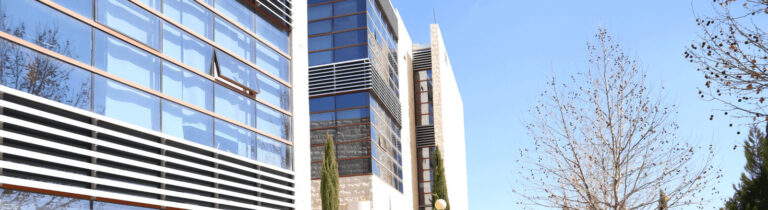 American University of Madaba