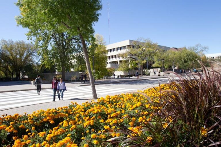 جامعة مانيتوبا
