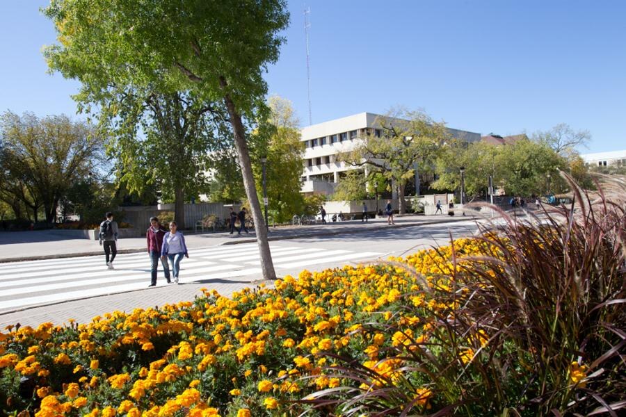 University of Manitoba