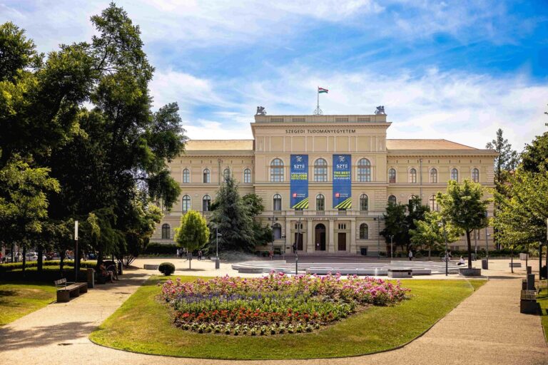 جامعة سيغيد
