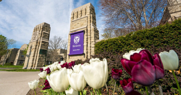 Western University